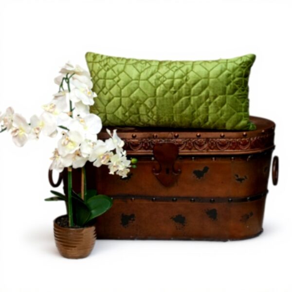 Coussin décoratif Parkland Collection Vert olive velours