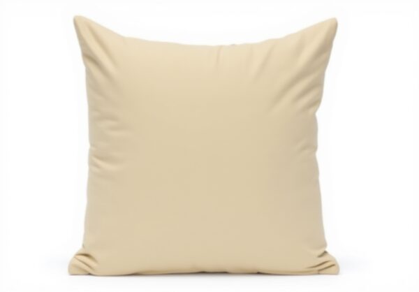 Coussin carré beige rayures Parkland Collection décoration