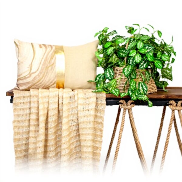 Coussin carré beige rayures Parkland Collection décoration